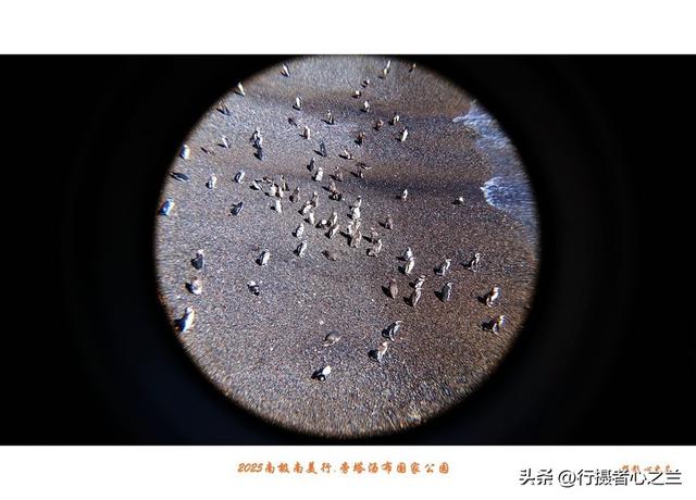 南极南美三国行游影记（79）—阿根廷旁塔汤布国家公园（六）