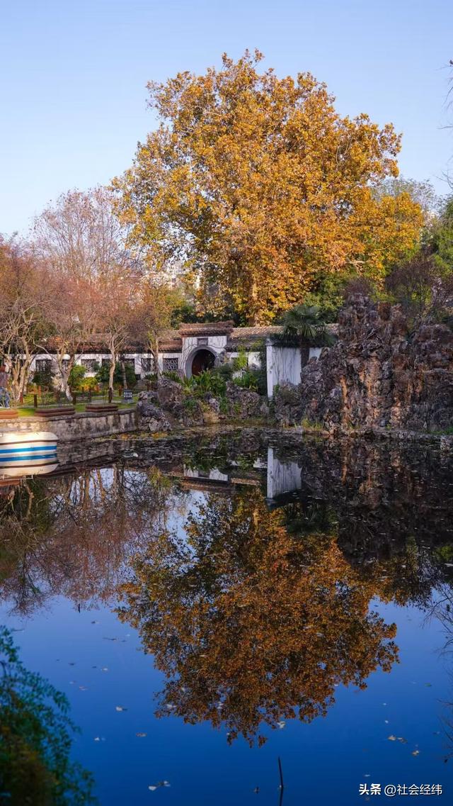 每日一景|封神赏景地·莫愁湖