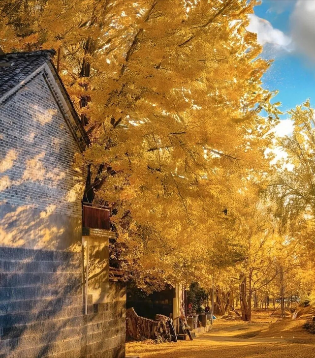 中国最美秋色！适合9月、10月、11月出行的6个赏秋旅行地，找个假期，避开人潮，自驾去看斑斓秋意吧！