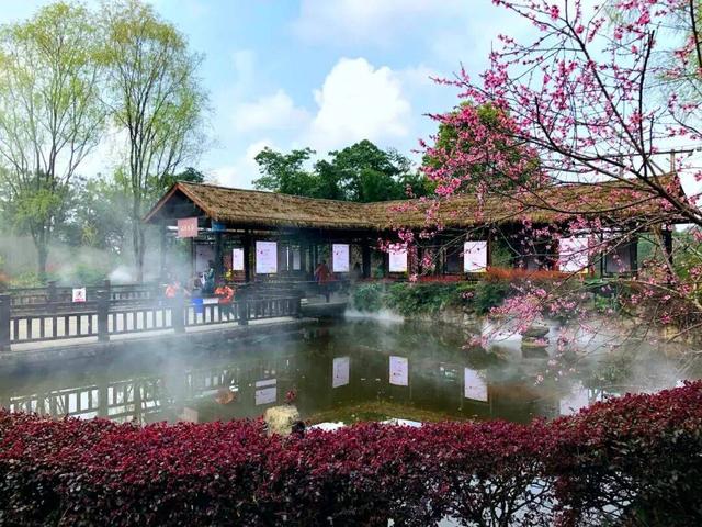 【美丽四川】诗意荣边：影落清波十里红‖王谦