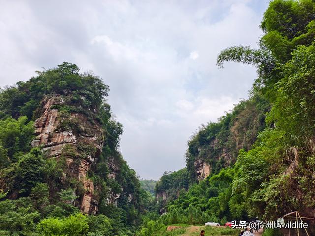 成都徒步（66）·邛崃篇⑥皮缝峡谷·皮缝古道
