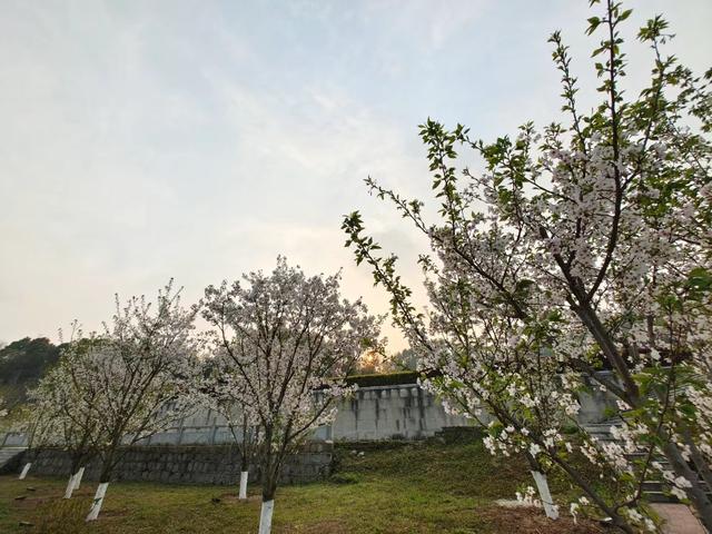 屈原故里（2021.3.15 宜昌·秭归）