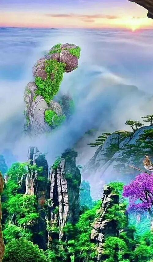 这才是真正的人间仙境，云雾缭绕，诗情画意的美！