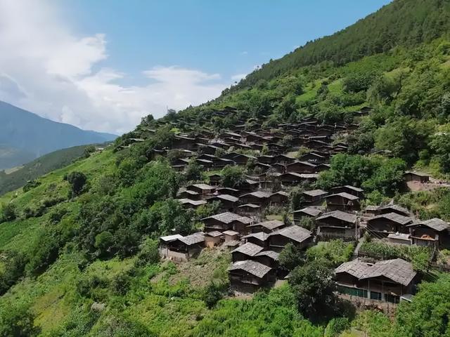 从云南山寨到都市白领，当她抛房离婚回村，野性如何战胜规训？