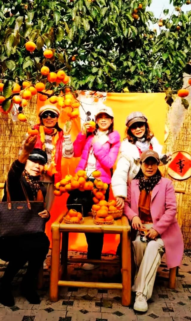 桂林：不入柿园，怎知秋色几许！