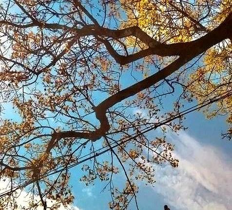 你别怀疑，大部分公公，都会当儿子不在家的时候与儿媳妇保持距离