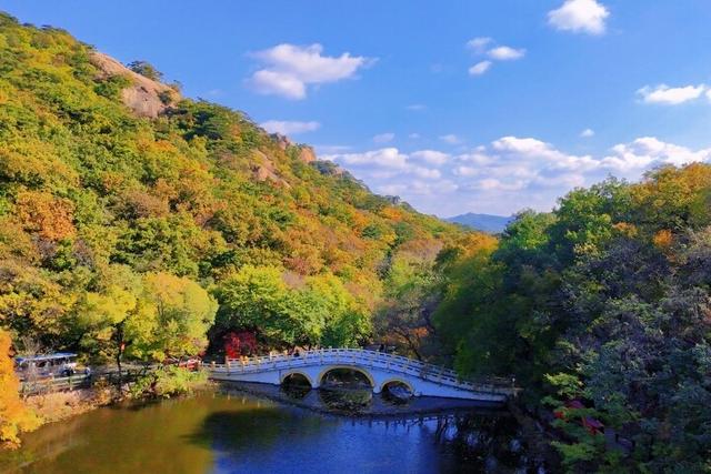 层林尽染 颜值拉满！千山赏秋正当时