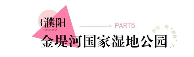 河南境内最值得去的粉黛观赏地，第一个就心动了