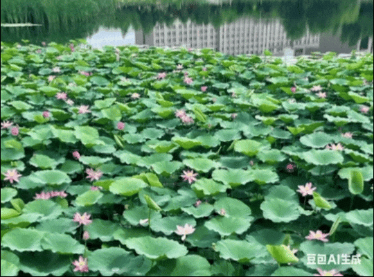 长春限定！点击收获绝美花开瞬间→
