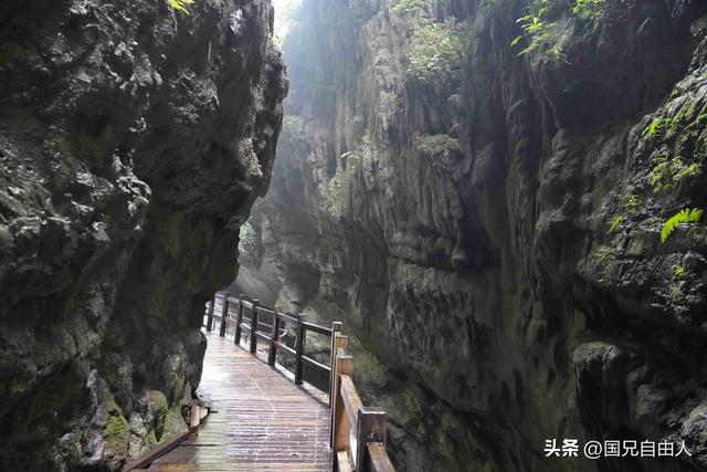 “渝黔生物基因库”黑山谷游记