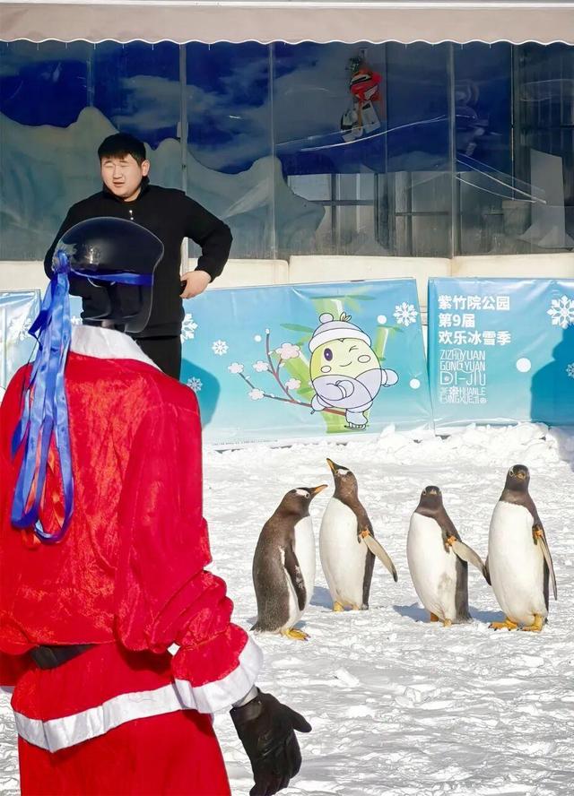 80米超长冰滑梯又双叒来啦！还有企鹅巡游