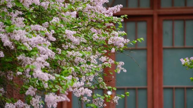 呼和浩特，2026必打卡！凭什么！