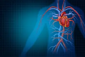 经常盘腿坐好吗？从中医角度看，可以舒缓经络，加快血液循环图片