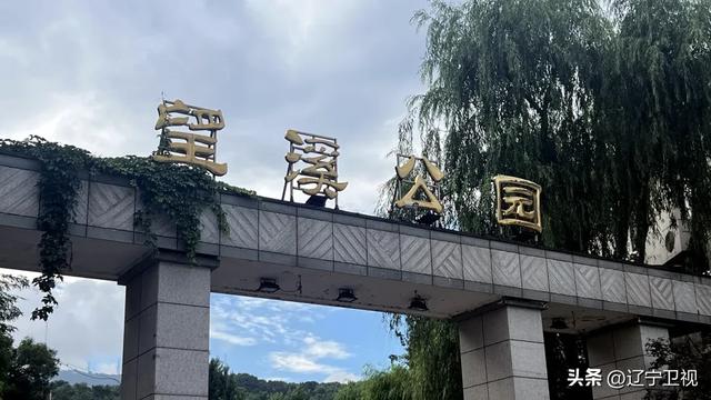 清晨6点的本溪烟火江湖！东北早市的快乐，谁懂啊？