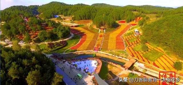 麻城旅游：2025年金秋，麻城五脑山菊花大观园福菊飘香，花海烂漫
