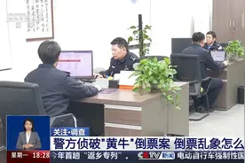 揭开网络“黄牛”开挂秘笈图片