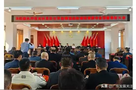 普宁市洪阳镇——热烈祝贺林思彤世界跆拳道品势锦标赛勇夺首冠暨表彰大会图片