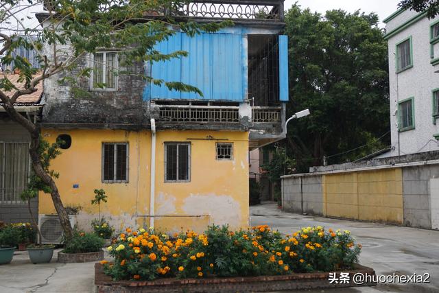 佛山真好逛——多彩的大墩村