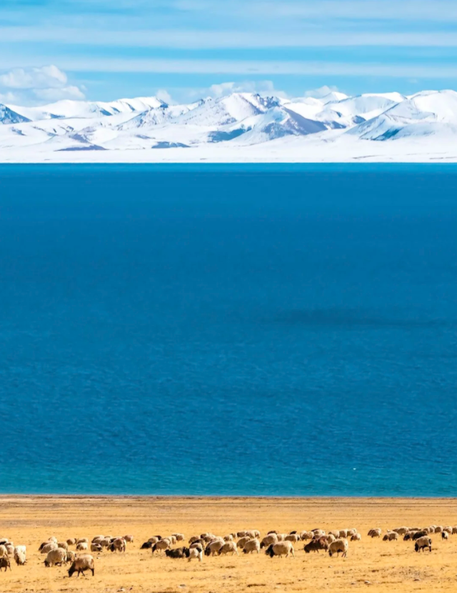 西藏没有海，却收集了世间所有蓝