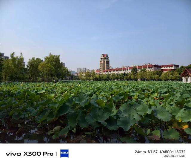 vivo X300系列评测：同级巅峰影像 出片易如反掌