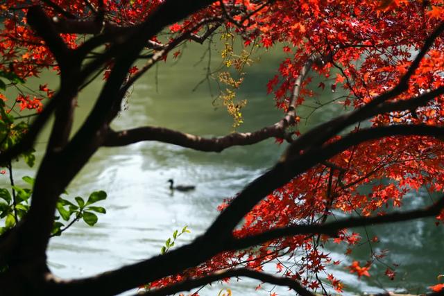 这里是江南诗词最多的城市,它的美有谁懂?
