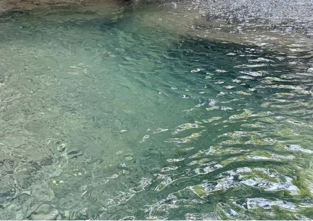 安逸惨了！筠连藏着一个小众秘境“叉”水地！