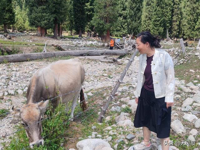 从库尔德宁到恰甫其海：一场山水相赠的旅途