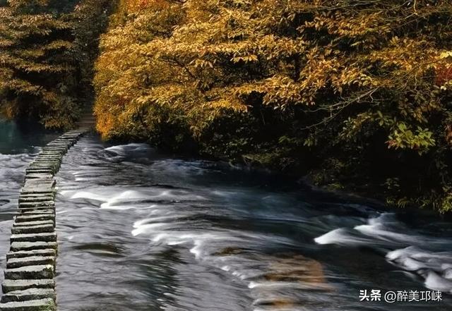 深秋想赴一场“森”系约会？来邛崃就够了！