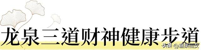 免费推荐！成都0.5h秋日免费打野攻略！摘柿子/板栗/八月瓜/野梨