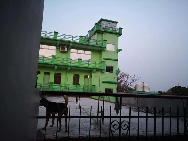 6年前,我在印度,询问当地人为什么苍蝇当道,他们的回答很费解