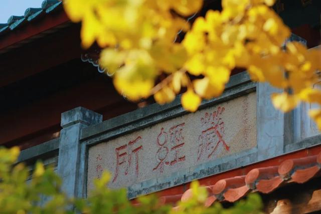 承天寺：藏在市中心的“山林”