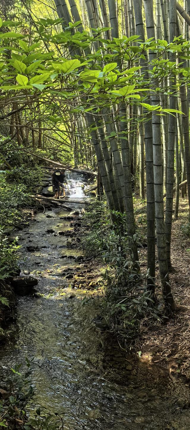绍兴梅坞古道一条 对新手小白特别友好的线路