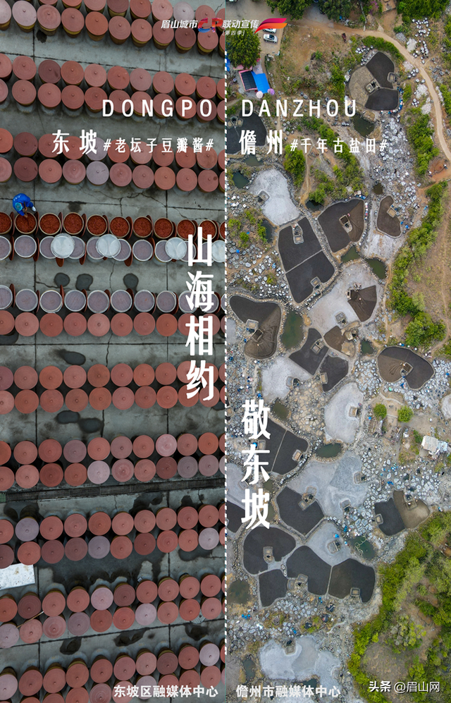 海报｜东坡&儋州：当椰风海韵遇见巴蜀烟雨—— 山海相约 我们何以敬东坡