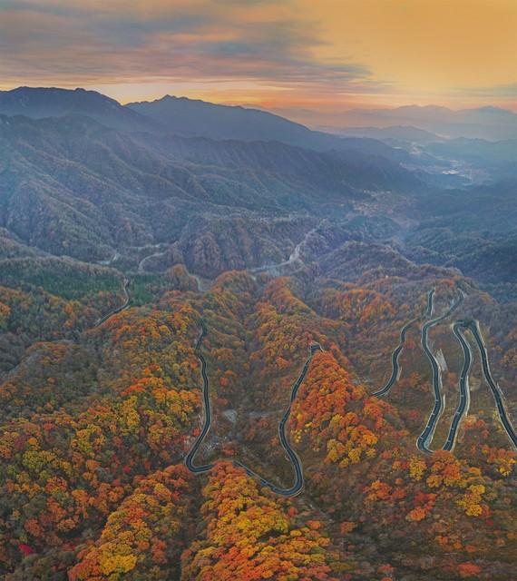 不比黄山，枫景如画，杏色满城，安徽这几个小众地方特有精游感！