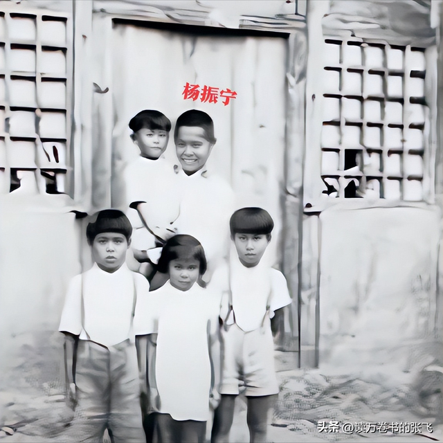 杨振宁的弟弟杨振汉，一查发现，原来他的人生经历也是如此精彩！