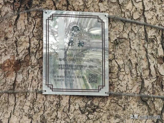 这条千年繁华老街国庆火爆朋友圈,值得你来走一走!