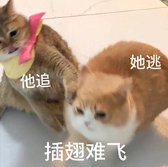男友总爱挠痒痒打闹，我却觉得是真爱，打闹背后藏着啥亲密密码？