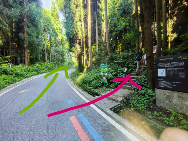 成都1.5h || 25℃天然空调+徒步避暑，这个地方带娃遛狗太绝了！