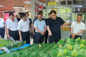 张永刚带领全市统战重点工作观摩组在两当县开展观摩活动图片
