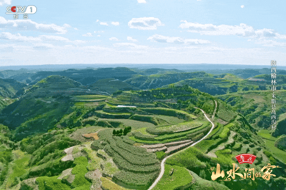 看完《山水间的家》，一人说一个爱上米脂的理由！