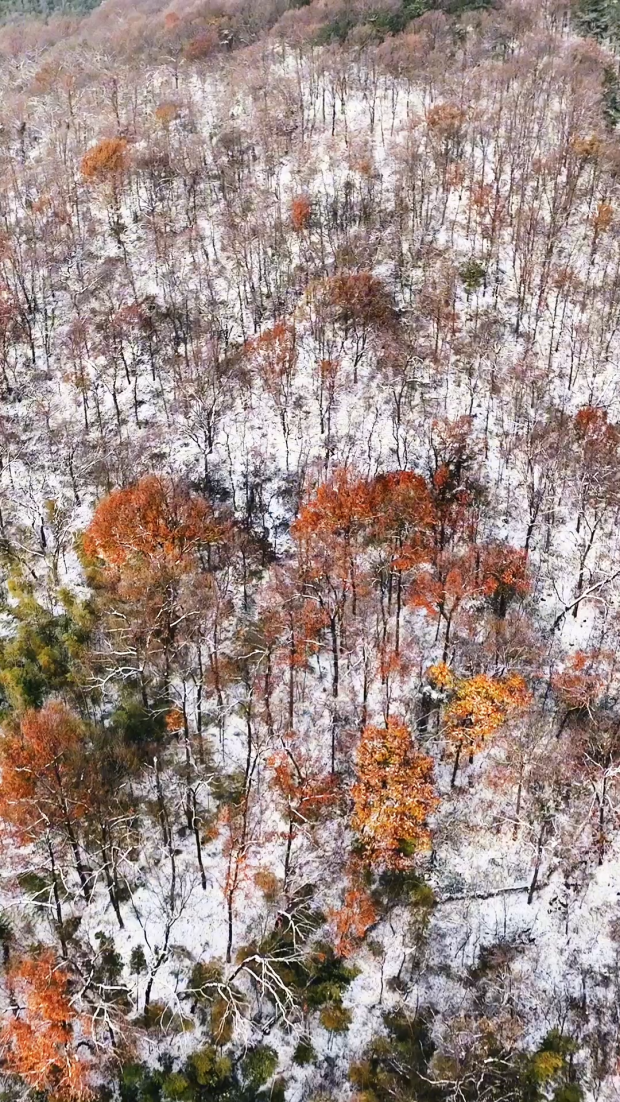 大寒雪落，我们陪你“慢下来”
