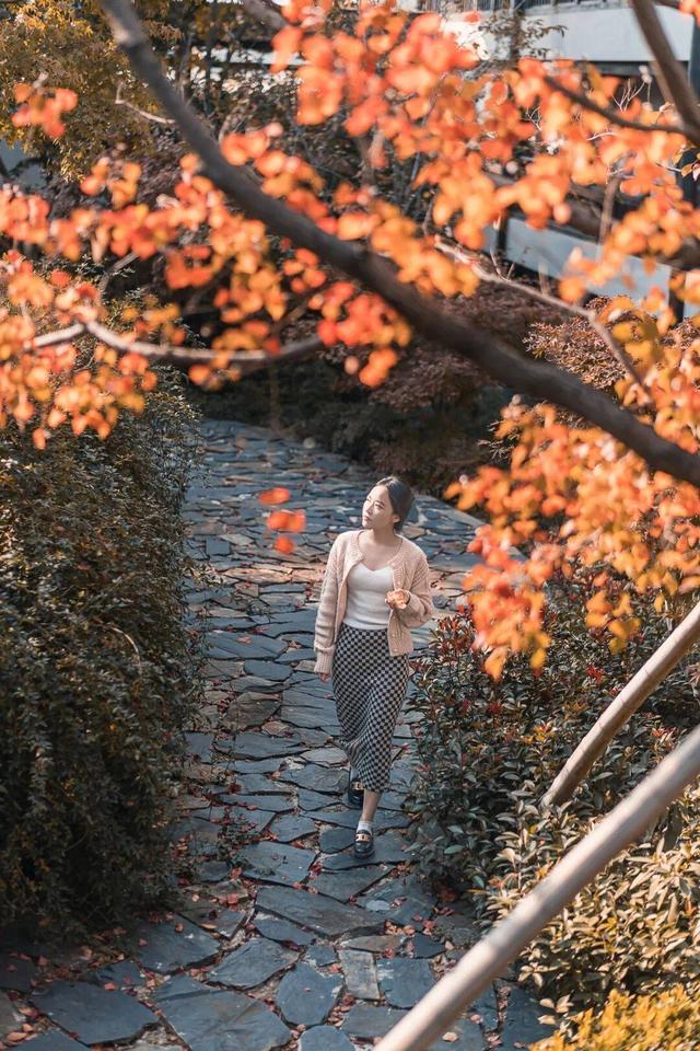 “植愈力”满分！金坛茅山秋冬植物大赏~