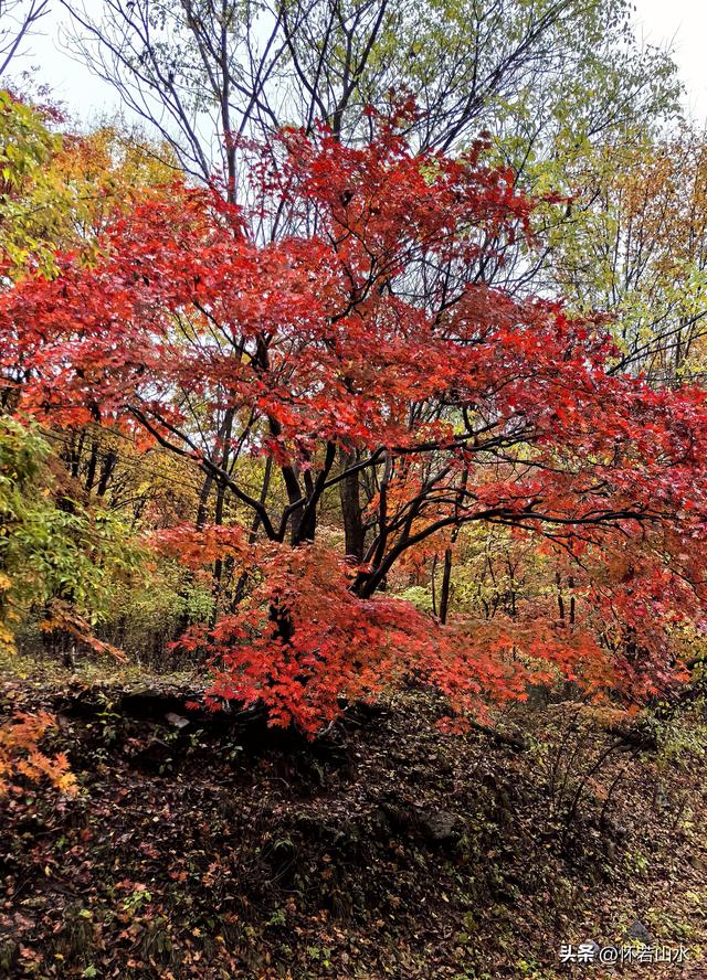 2025辽宁赏秋之旅日记(3)——游览洋湖沟和老边沟