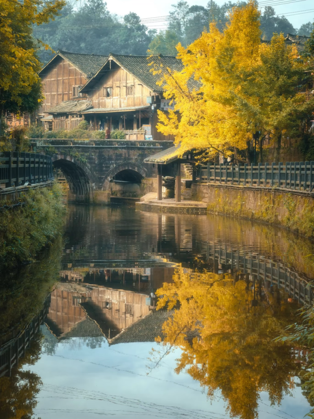 “秋假”开耍！带着小宝来雅安准没错！