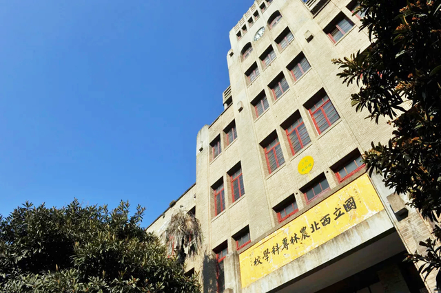 走！金秋到杨凌“村”游去