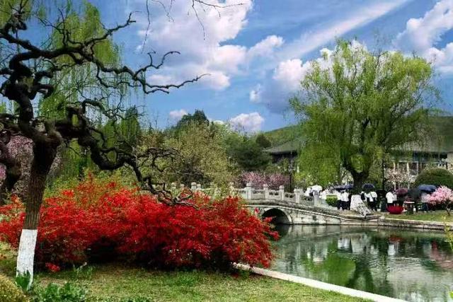 北大学子镜头中的燕园美景