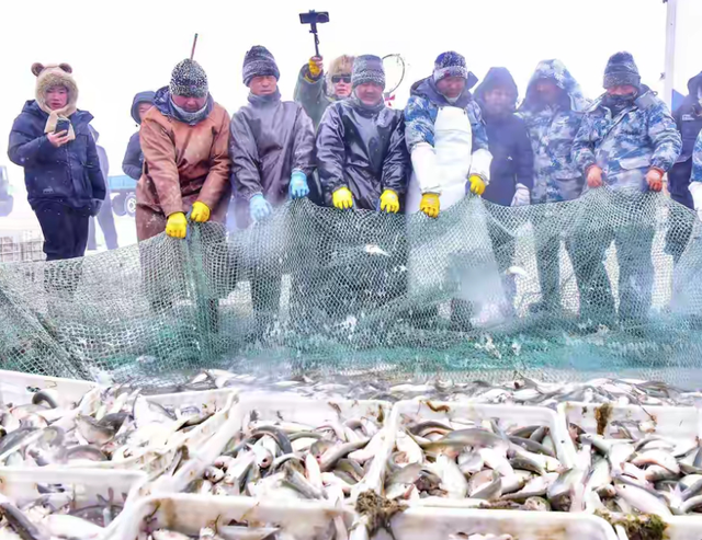 2026来内蒙古过大年 这场与冰雪有关的狂欢错过再等一年！