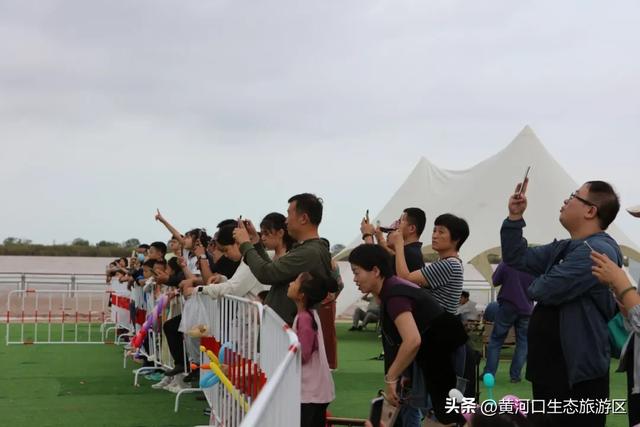 【情满双节游东营】​黄河口生态旅游区 国庆精彩瞬间 美好永不散场