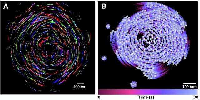 《自然》：当蜂群遇见机器人：重新定义机器人未来群体智慧