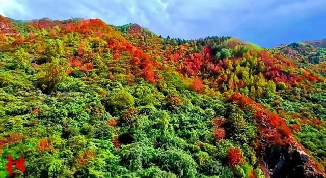 组图丨秋染古浪 韵入画屏